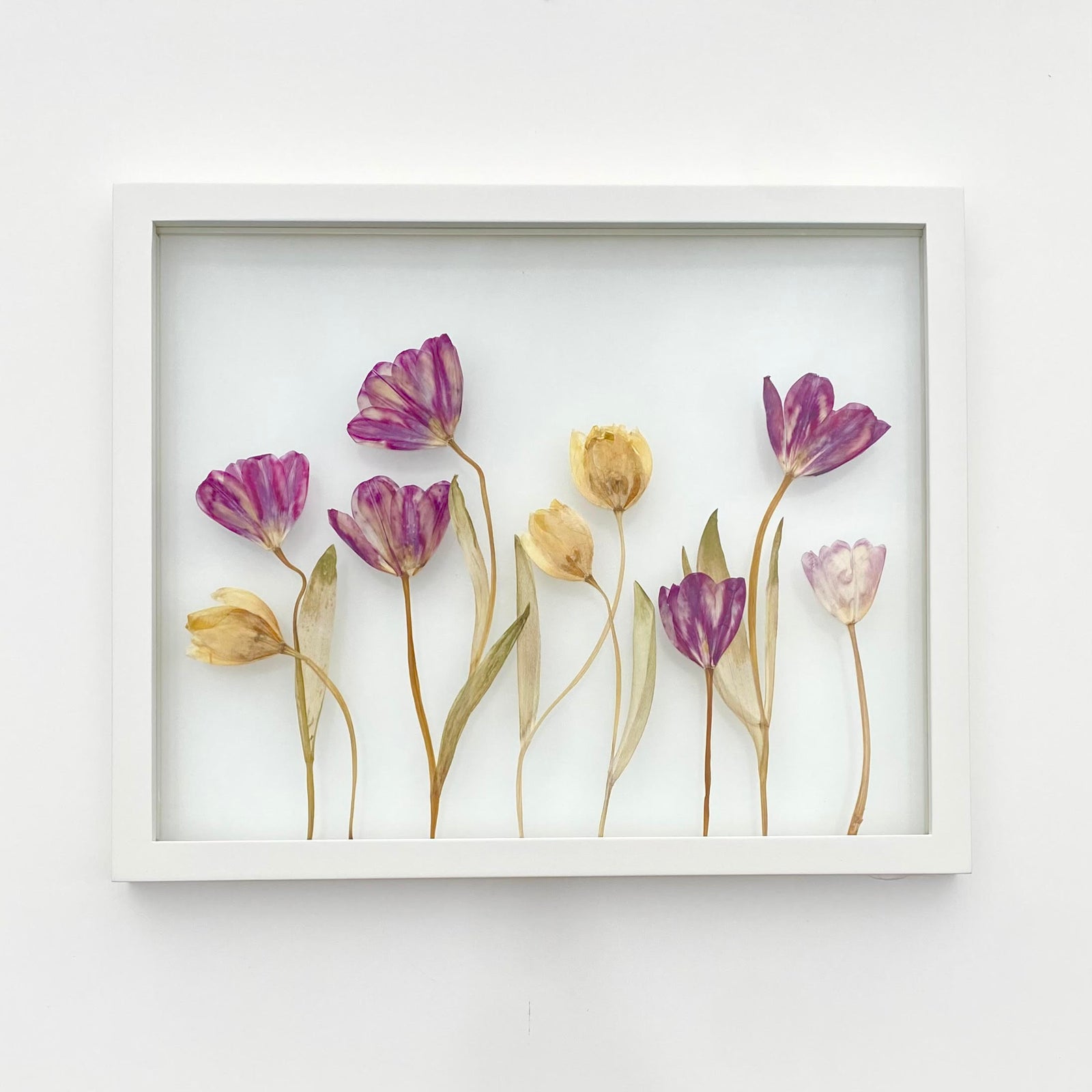 Spring Blooming