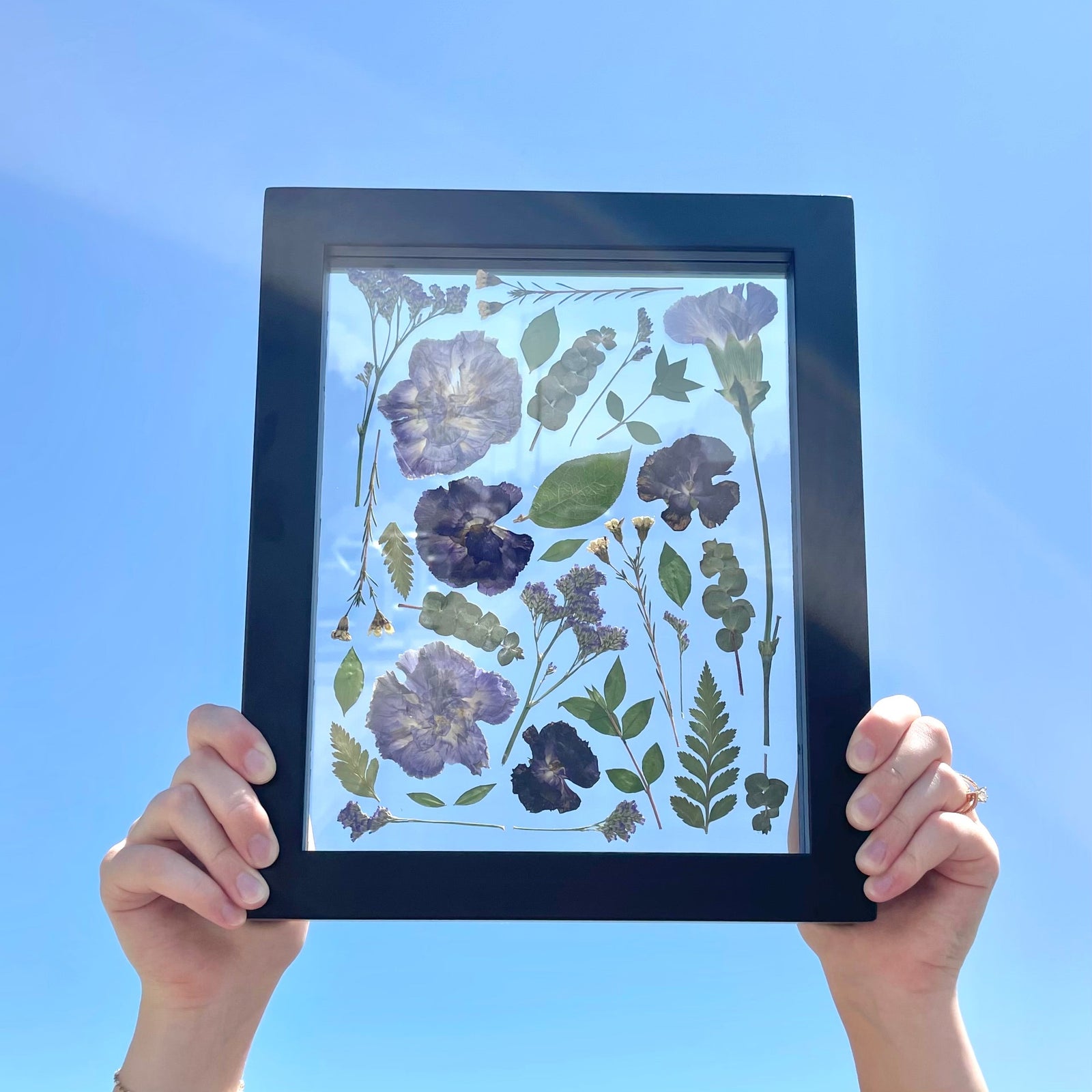 Pressed flowers in an 8x10 black frame