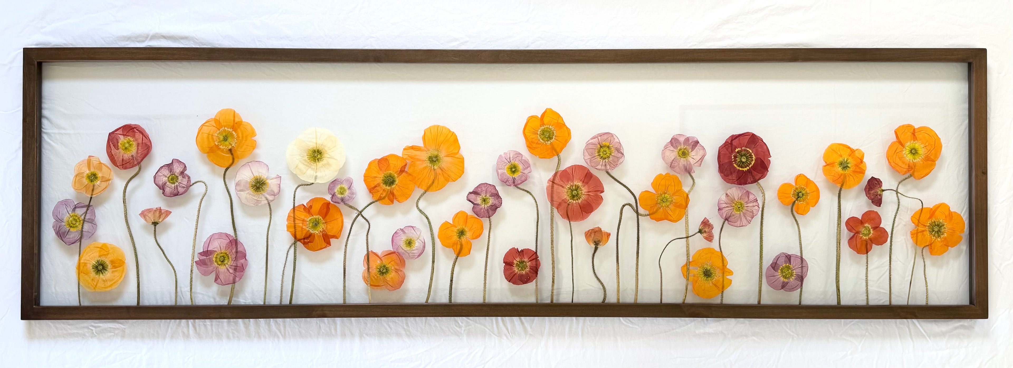 Poppy Field - 18x68 Espresso (museum glass)