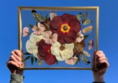 flowers-in-a-frame-up-in-the-sky